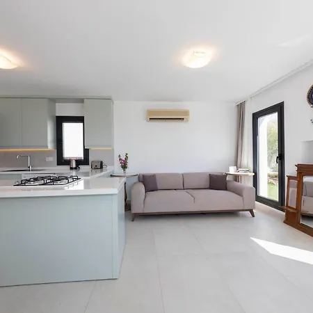 Modern With Garden And Terrace Near Beach In The Heart Of * بودروم