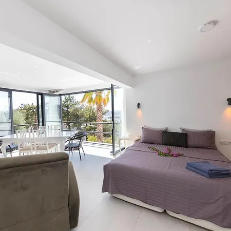 Villa Modern With Garden And Terrace Near Beach In The Heart Of