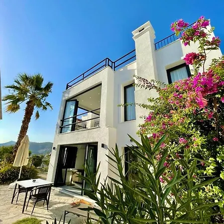 Villa Modern With Garden And Terrace Near Beach In The Heart Of Bodrum